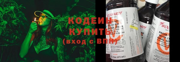 хмурый Козловка