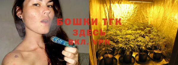 тгк Корсаков